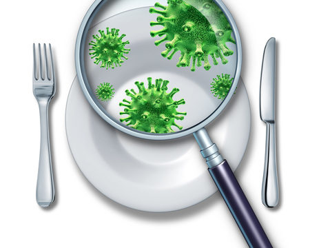baktérie, pleseň, infekcia, hnačka, vracanie, pokazené potraviny