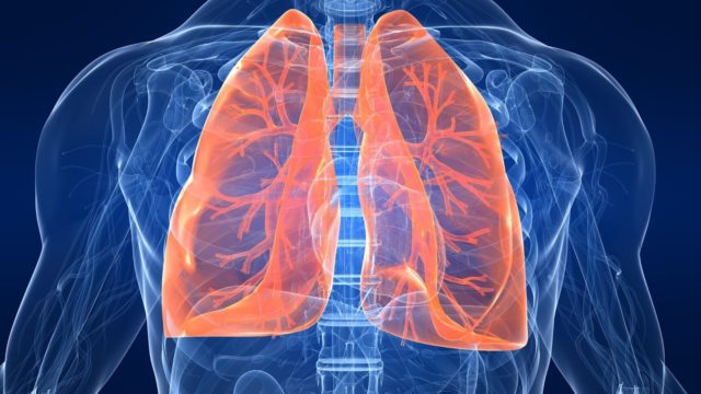 astma, priedušky, pľúca, cysty, dýchací, tráviaci systém, hlien, zápal